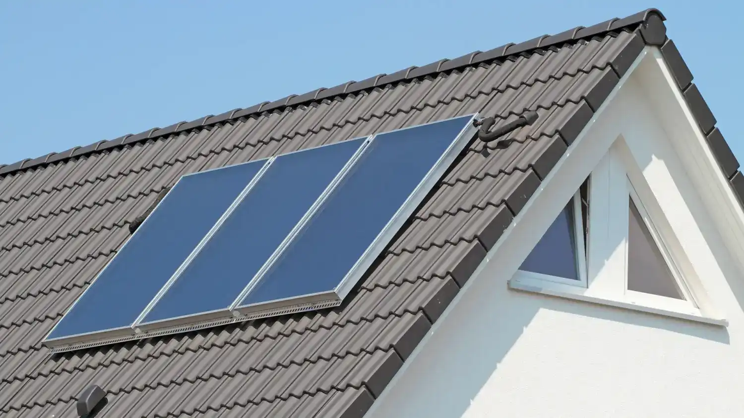 Beschattung einer Solaranlage - Anspruch auf Rückschnitt eines Baumes